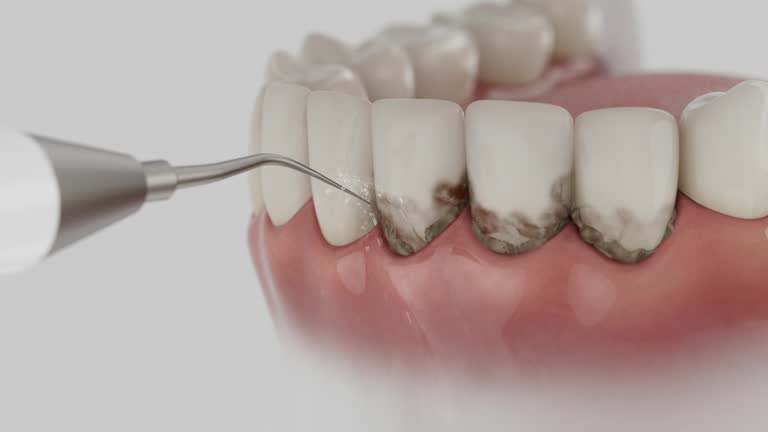 Reliable Dental contractor in Camden, OH by Dentist Open Now